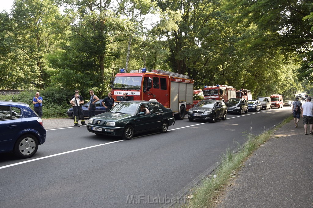 Waldbrand Koeln Hoehenhaus Hoehenfelder Mauspfad P007.JPG - Miklos Laubert